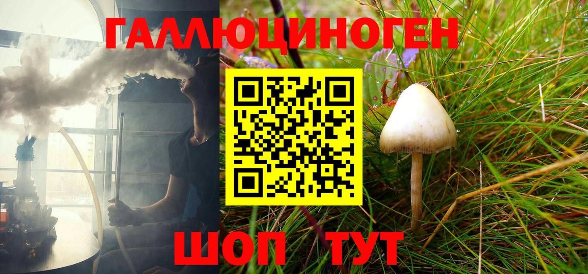 Галлюциногенные грибы Psilocybine cubensis Киржач